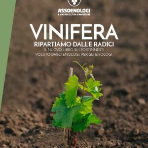 Vinifera - Ripartiamo dalle radici