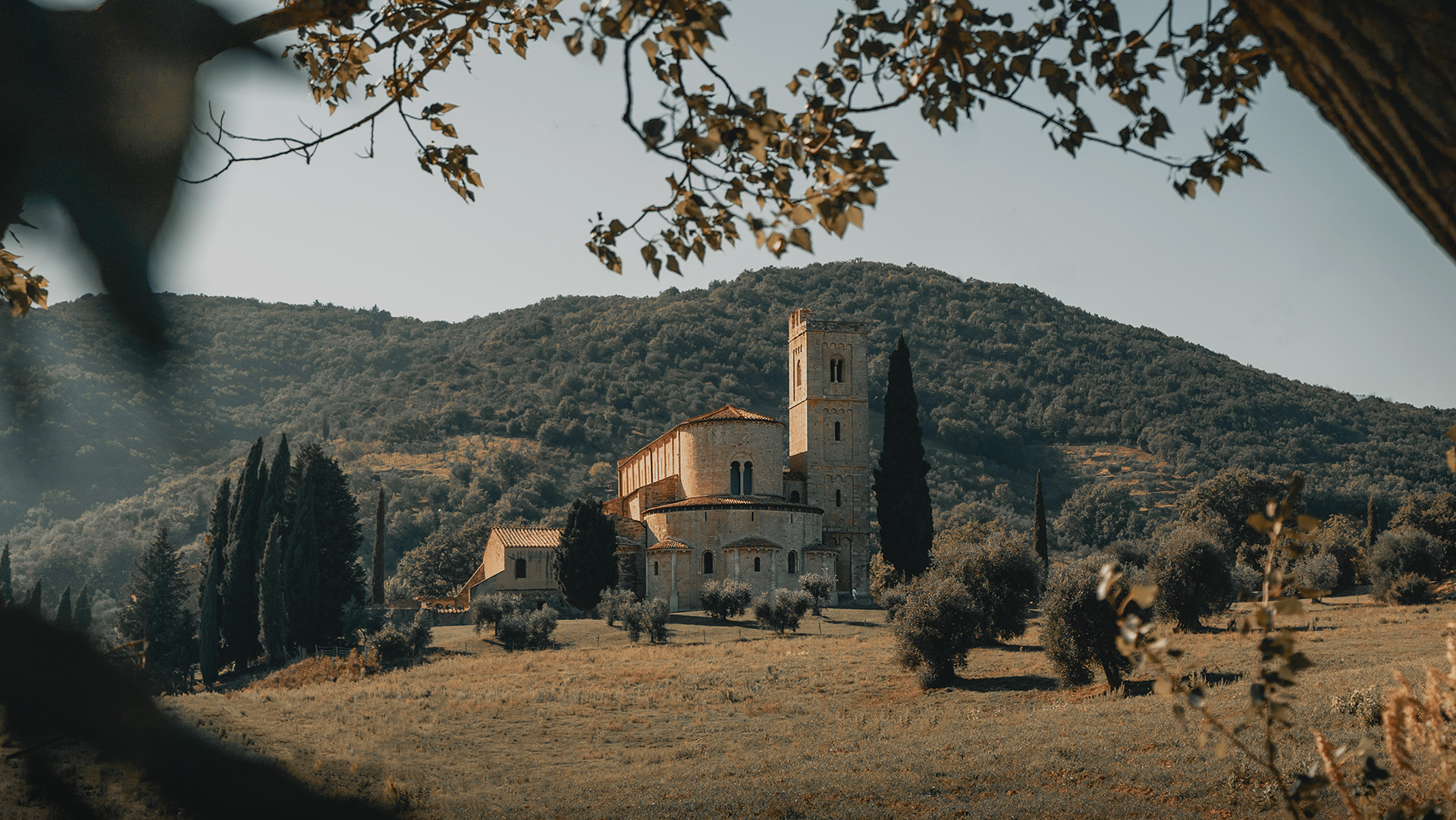Brunello di Montalcino