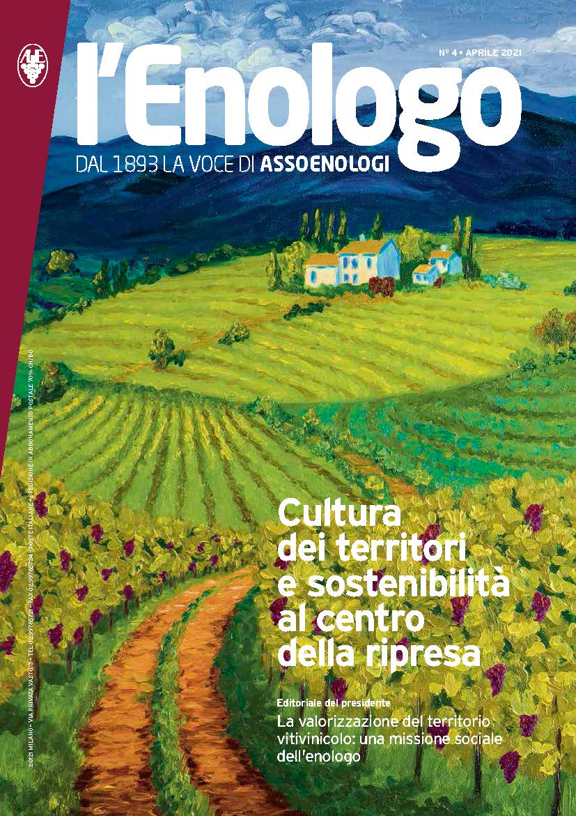 Anteprima