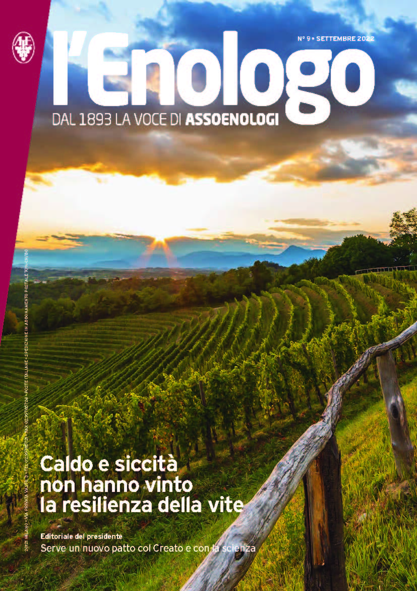 Anteprima