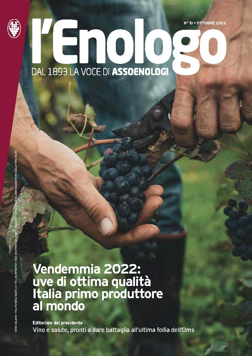 Anteprima