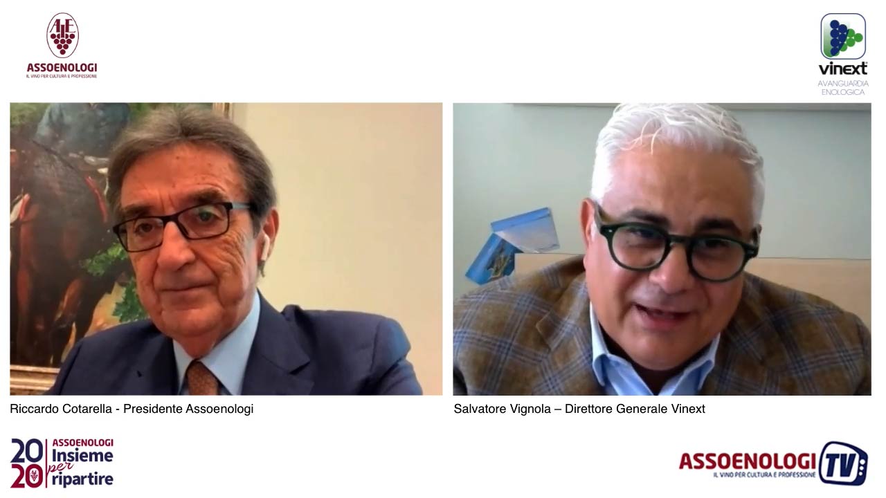 Assoenologi 2020 Insieme per Ripartire: Vinext
