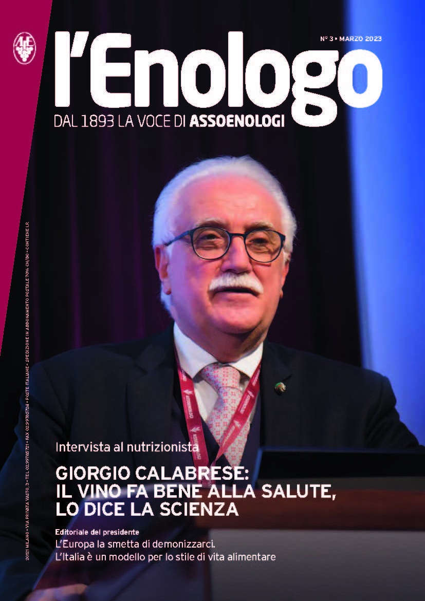 Anteprima