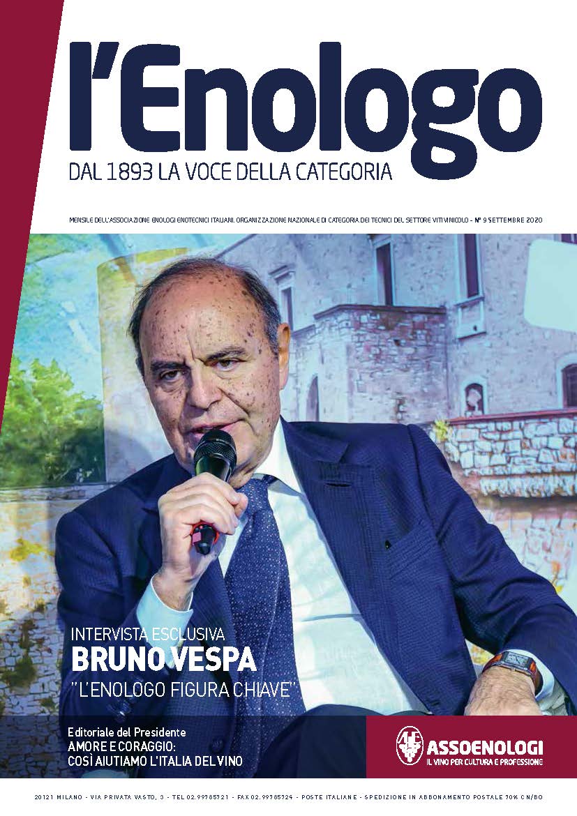 Anteprima