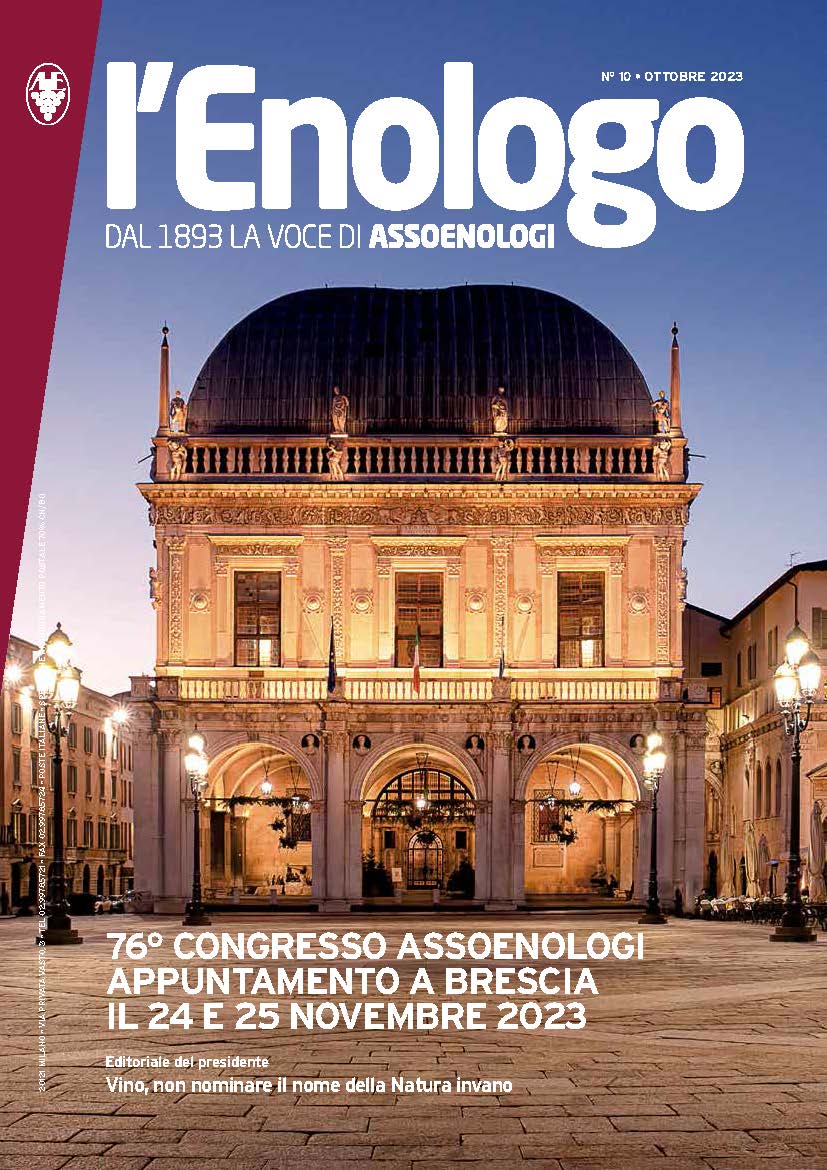 Anteprima