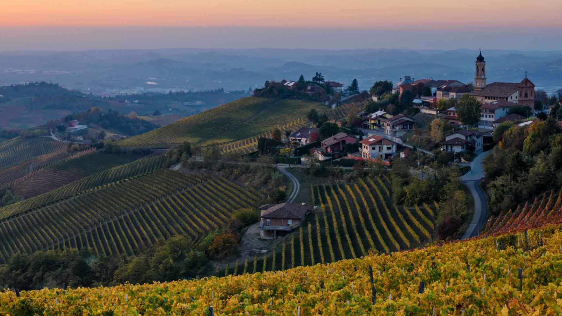 Barbaresco DOCG