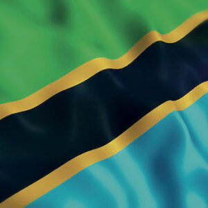 Tanzania Flag