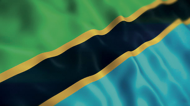 Tanzania Flag